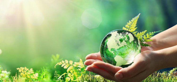 Giardini di design. Progetta la tua area verde con eleganza e creatività