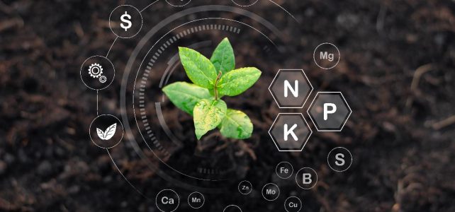 Concimi e fertilizzanti: come i produttori migliorano la qualità agricola